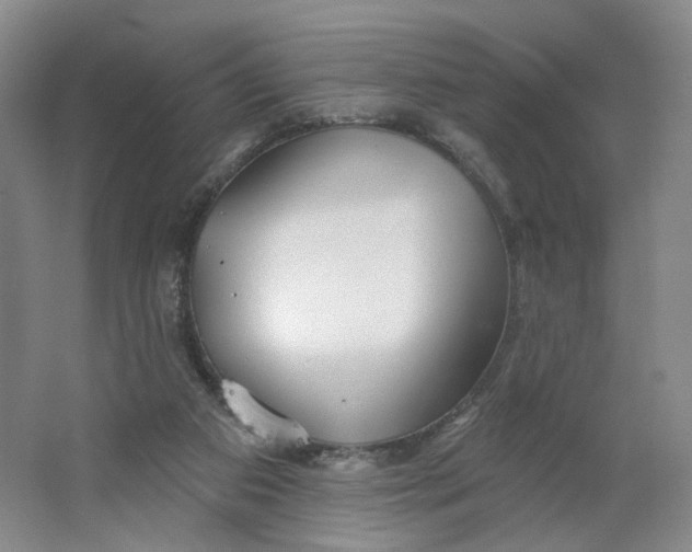 X0000063450113200602101658