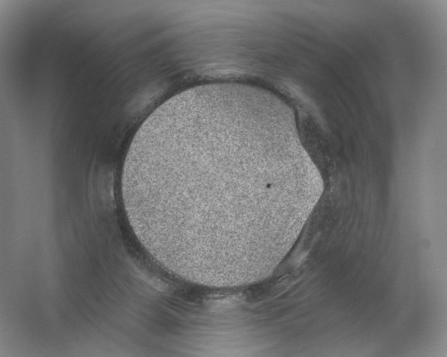 X0000063450115200602101658