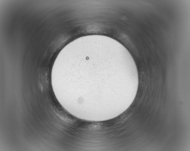 X0000063450116200602101658