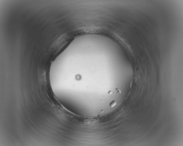 X0000063450117200602101658