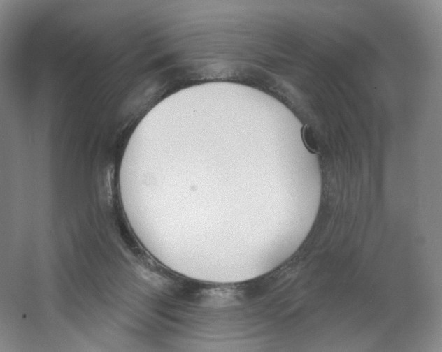 X0000063450118200602101658