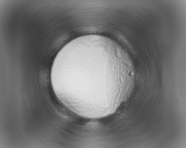 X0000063450119200602101658