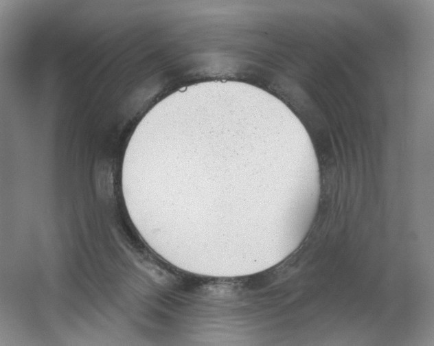 X0000063450120200602101658