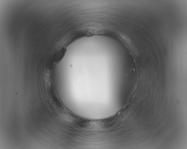 X0000063450121200602101658