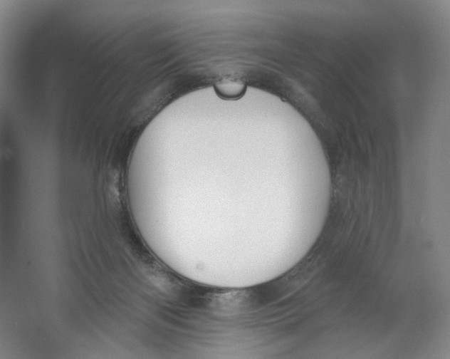 X0000063450122200602101658