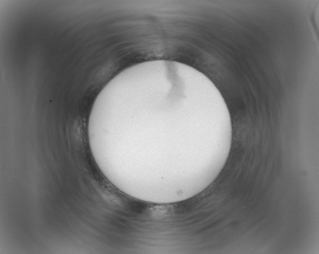 X0000063450126200602101658