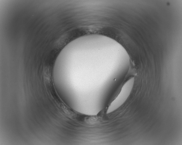 X0000063450129200602101658