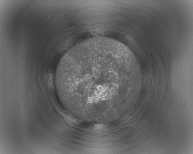 X0000063450130200602101658