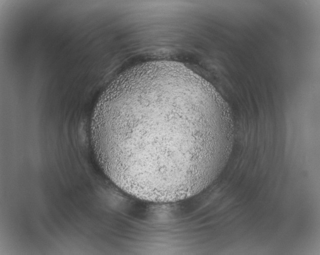 X0000063450131200602101658