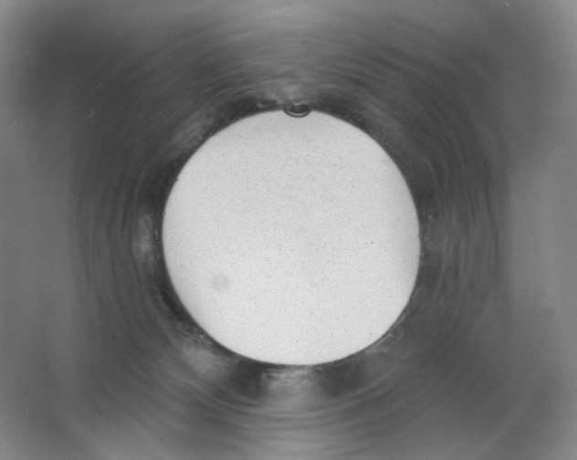 X0000063450132200602101658