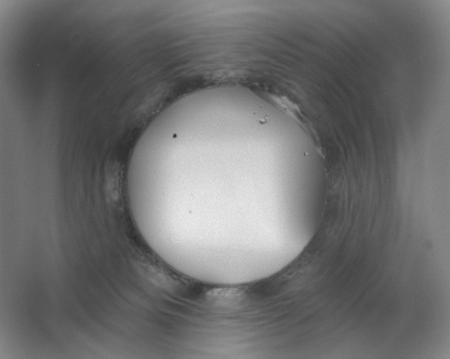 X0000063450133200602101658