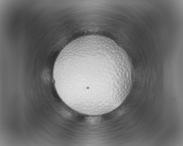 X0000063450135200602101658