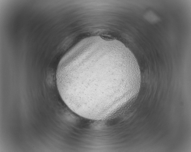 X0000063450138200602101658