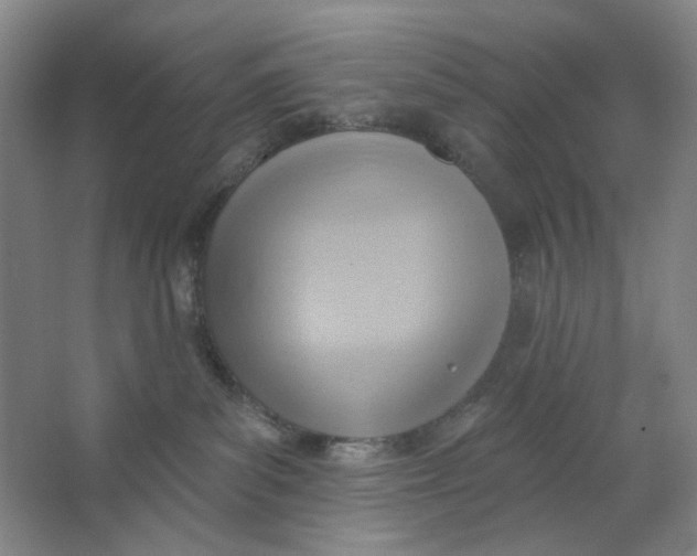 X0000063450139200602101658