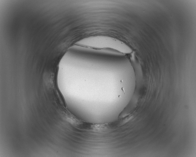 X0000063450141200602101658