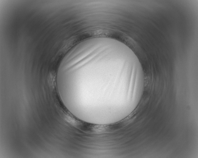 X0000063450142200602101658