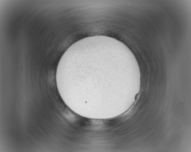 X0000063450144200602101658