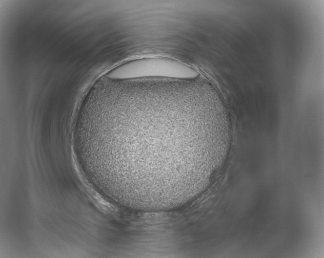 X0000063450145200602101657