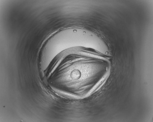 X0000063450146200602101657