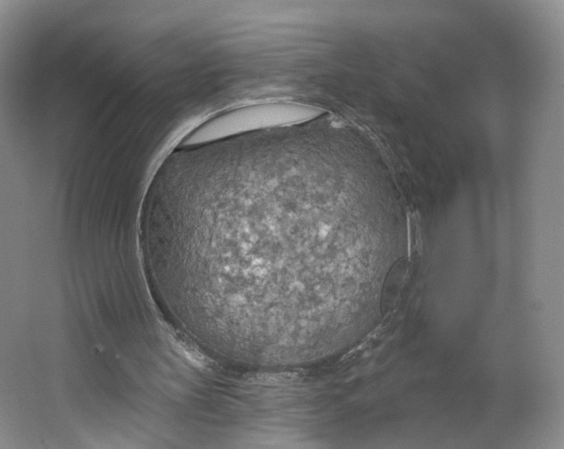 X0000063450147200602101657