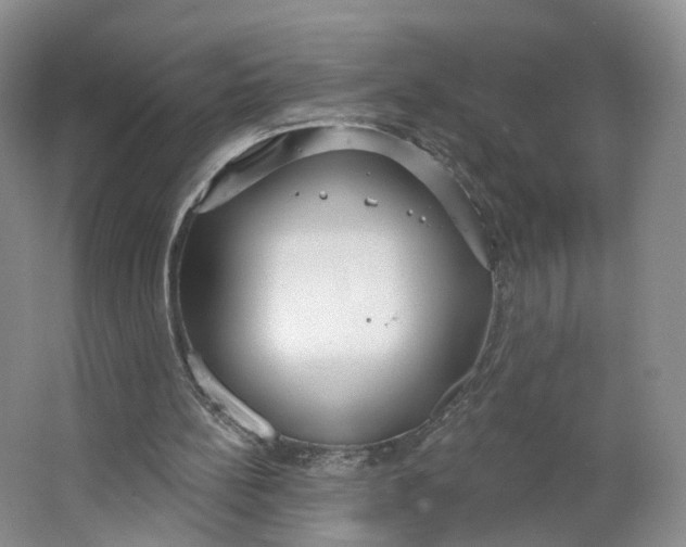 X0000063450148200602101657