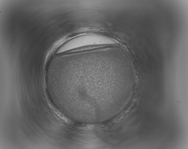 X0000063450149200602101657