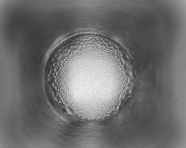 X0000063450151200602101657