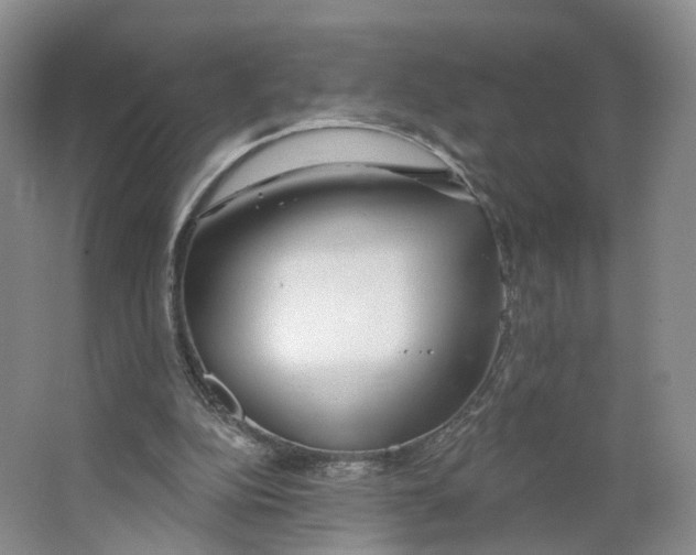 X0000063450152200602101657