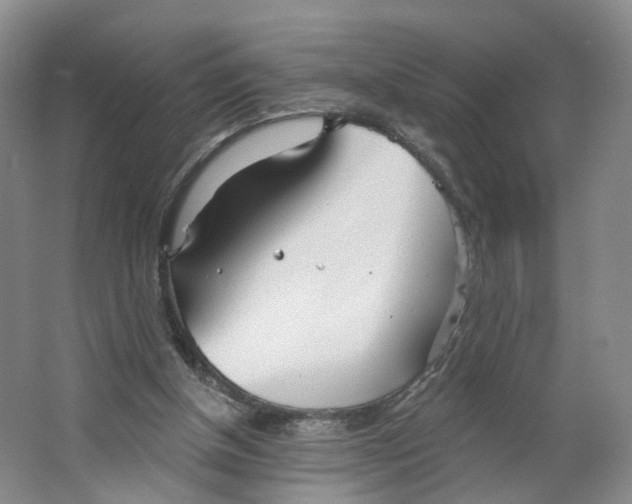 X0000063450154200602101657