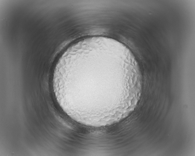 X0000063450155200602101657