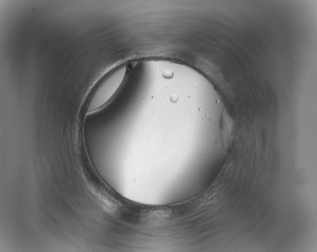 X0000063450156200602101657