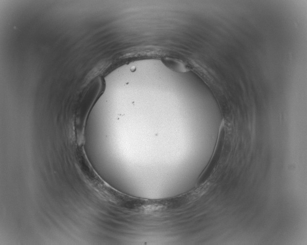 X0000063450158200602101657