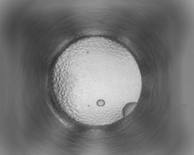 X0000063450159200602101657