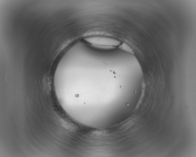 X0000063450160200602101657