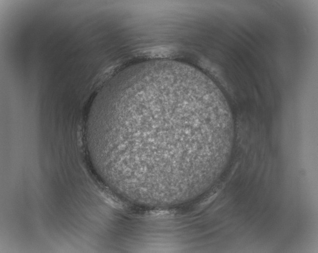 X0000063450161200602101657