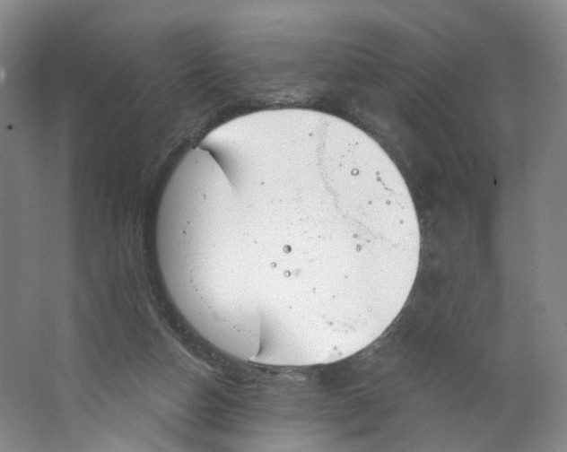 X0000063450162200602101657