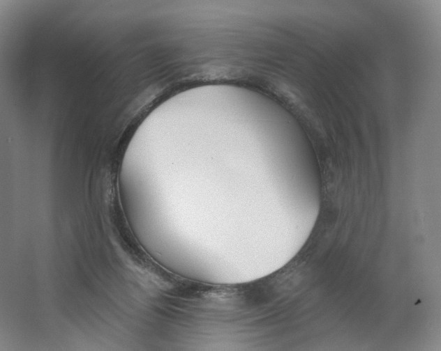 X0000063450164200602101657