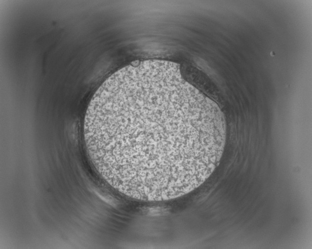 X0000063450165200602101657