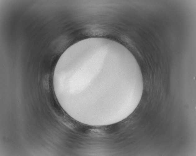 X0000063450167200602101657