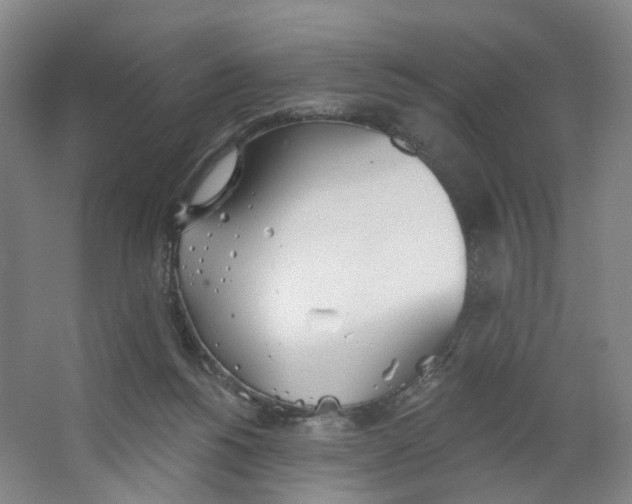 X0000063450168200602101657