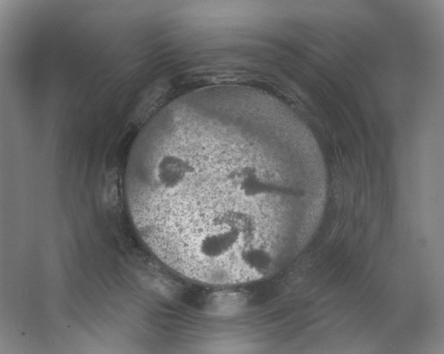 X0000063450169200602101657