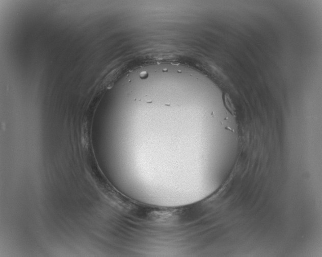 X0000063450170200602101658