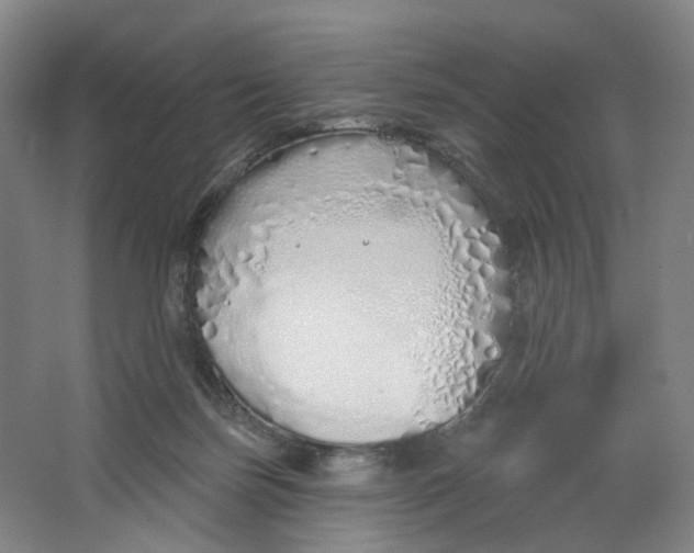 X0000063450171200602101658