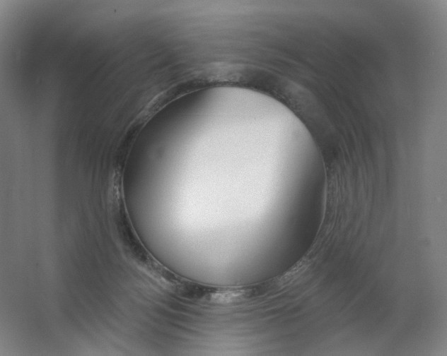 X0000063450172200602101658