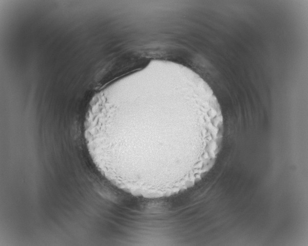 X0000063450173200602101658