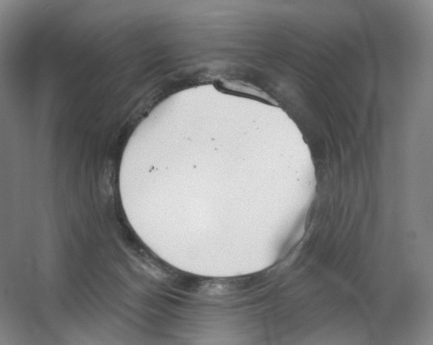 X0000063450174200602101658