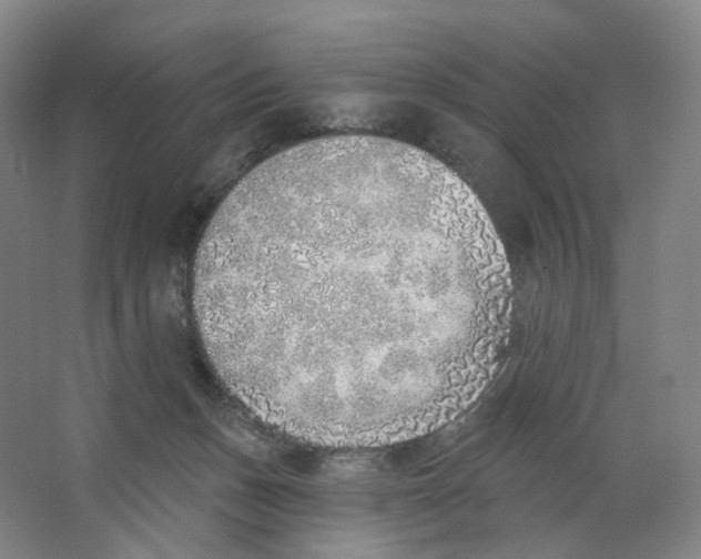 X0000063450175200602101658