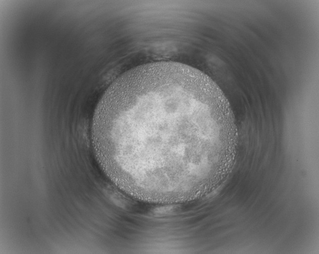 X0000063450178200602101658