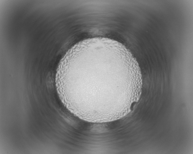 X0000063450179200602101658