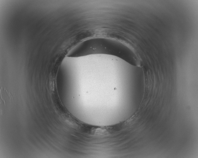 X0000063450180200602101658